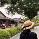 한옥 | 전주 한옥마을 다녀온 후기 🌿🏡