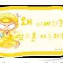 카페 자주 Daum카페