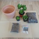 원주초등학교 병설유치원 이미지