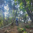 제일오투마트 이미지