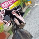 할머니분식 | 중랑구 맛집 전현무떡볶이 옛날 할머니 분식 내돈내산 후기(김밥은 추가하지 마세요🤣)