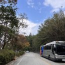 복용승마장 | 대전 복용승마장 기승능력인증제 7급 시험 후기