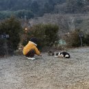 해피캠핑장 | [아이와 함께하는 캠핑이야기] 3번째캠핑- 양주 해피캠핑장 후기