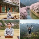 하동 여행, 자연과 문화를 동시에 누리는 힐링 코스 TOP 3