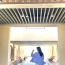 하벳(HAVET) 이미지