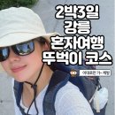 필그림가든 | 이대로만 가면 끝! 강릉 혼자여행 코스 2박3일 뚜벅이 혼자 놀기 총정리