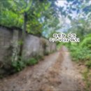 서강부동산중개 이미지