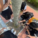 여주-0608 이미지