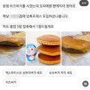 이람학원 | 언니를 잊은 두기, 고양이 4마리 키우는 일상
