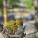 카페 요아정 - 성동구 | 남한산성 드라이브 코스 추천 테라스 카페 요아정 주차 후기