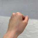 <b>더</b><b>엔비피</b> 종로 그랑서울 매장 방문 (화장품 BM 빙의 DIY 팔레트 구성)