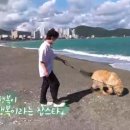 멍빨DAY 네이버블로그