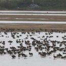 천수만로 이미지