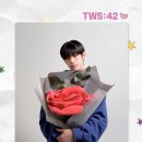 RoseDay 이미지