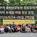 홍산관광농원캠핑장 이미지