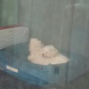 옹기종기 이미지