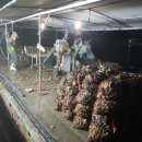 청정해역 이미지