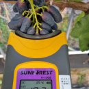 윤화농장 이미지