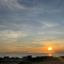 나나목장 | 나트랑] 내돈내산 나트랑 판랑사막투어 선라이즈(일출) 그룹 투어! 포롱자라이사원, 양떼목장, 모래썰매