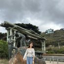 250304 호주 멜버른 그레이트오션투어 (조이투어) 후기