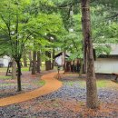 켄싱턴 호텔 평창 글램핑 빌리지 | [평창] 켄싱턴호텔 평창 글램핑 빌리지 _ 강원도 여행 숙소 호텔 추천