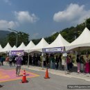 새둥지식당 | 동해 무릉별유천지 보라빛으로 물들은 라벤더축제 포토존&amp;체험 후기