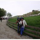 일신목장 이미지