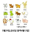 5월29일금요일 이미지