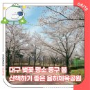 율하체육공원 테니스장 내 | 대구 벚꽃 명소 동구 봄 산책하기 좋은 율하체육공원