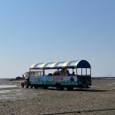 재인 농장 | 수도권 가족 나들이 추천! 루플에서 5분 만에 예약하는 갯벌체험