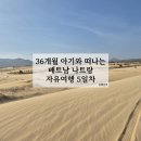 소떼목장 | 나트랑 5박 7일 자유여행기 5일차(깜란 멜리아 빈펄 리조트-판랑 사막투어·양떼목장·톰콩로·판랑사막)