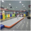 온리원 태권도 이미지