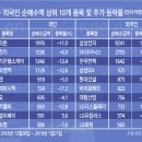 코리아덕 이미지