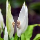 마주보기 이미지