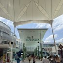 빅씨마트 이미지