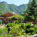 현천초등학교 이미지