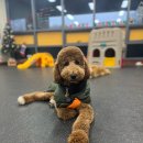 송파위례유치원 이미지