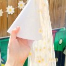 데이지 파티(Daisy Party) 이미지