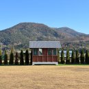 장성목장 | 전남 장성 잔디밭 카페 토끼뜰 아이랑 가볼 만한 곳 내돈내산 추천