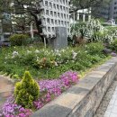 공공용 31 | 2025년 외교부 재외공관 공공외교 현장실습원 서류합격 및 면접후기+ 질문 공유