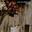 크리스마스자몽빛고을여성