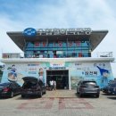 동서활어횟집 | 경주 감포항 활어회 맛집 - 감포 수협활어직판장(대구횟집, 1호초장집)