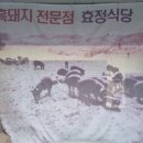 효정식육식당