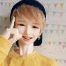 스마일댕댕 이미지