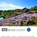 (주)동백여행사