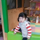 키크는 나무 이미지