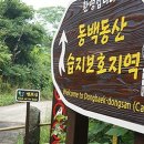 사회적협동조합 선흘곶