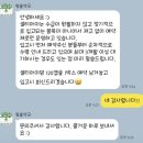 건약국 | [남대문 약국] 왕솔약국 방문 후기 및 임산부 영양제 추천 리스트