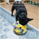 노즈워크 강아지 장난감 크래킷 스너플볼