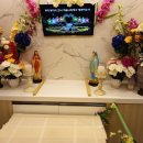 강아지나라동물병원 이미지